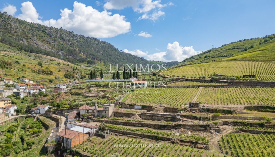 Farm Ranch in Sao Joao de Tarouca, Viseu District, Portugal 1 - 17043783