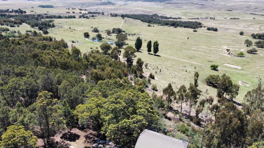 Farm Ranch in Bethlehem, Free State, South Africa 1 - 17041036