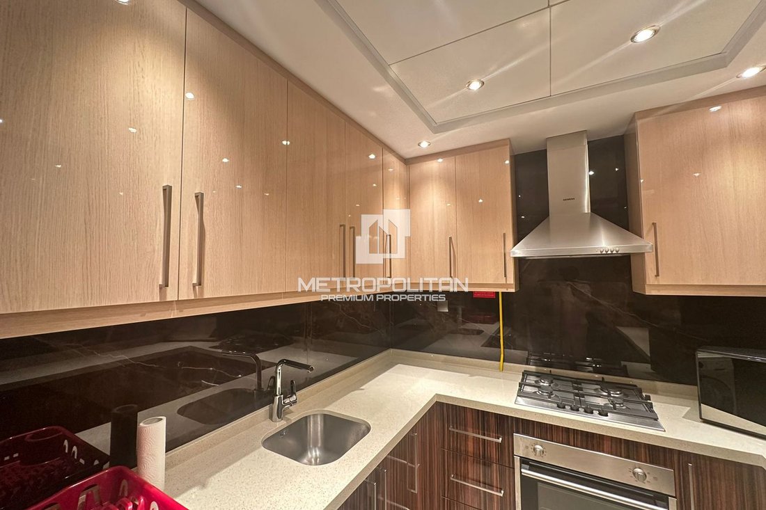 Apartment in Downtown Dubai, Dubai, United Arab Emirates 5 - 17041233