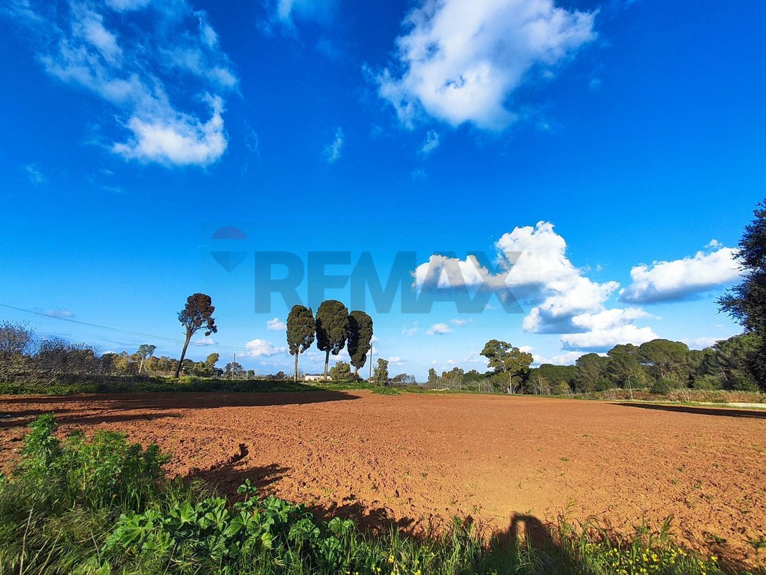 Land in Caltagirone, Sizilien, Italien 4 - 17044531