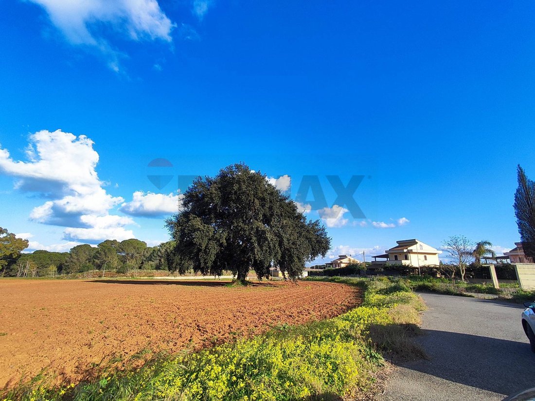Land in Caltagirone, Sizilien, Italien 5 - 17044531