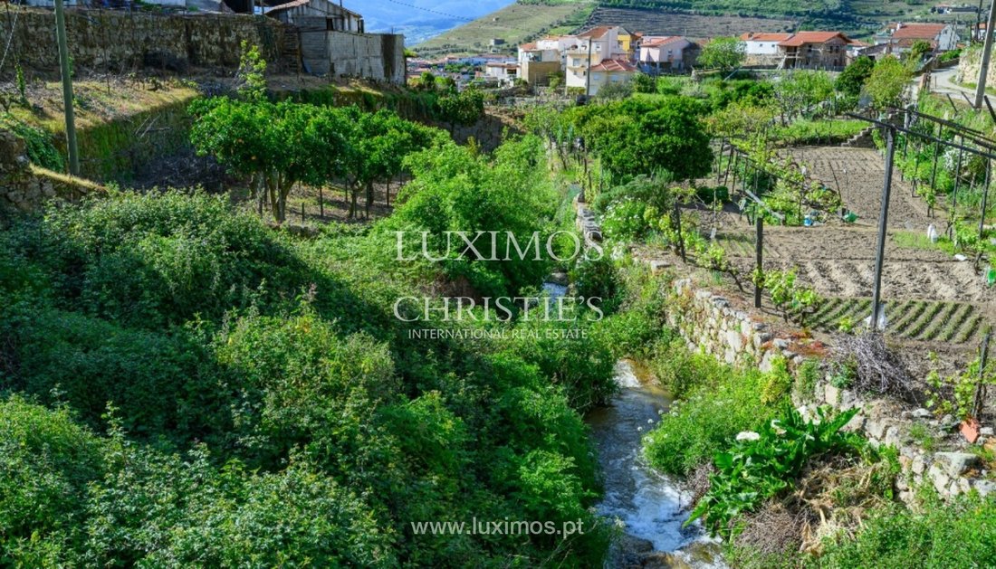 Farm Ranch in Sao Joao de Tarouca, Viseu District, Portugal 5 - 17043783