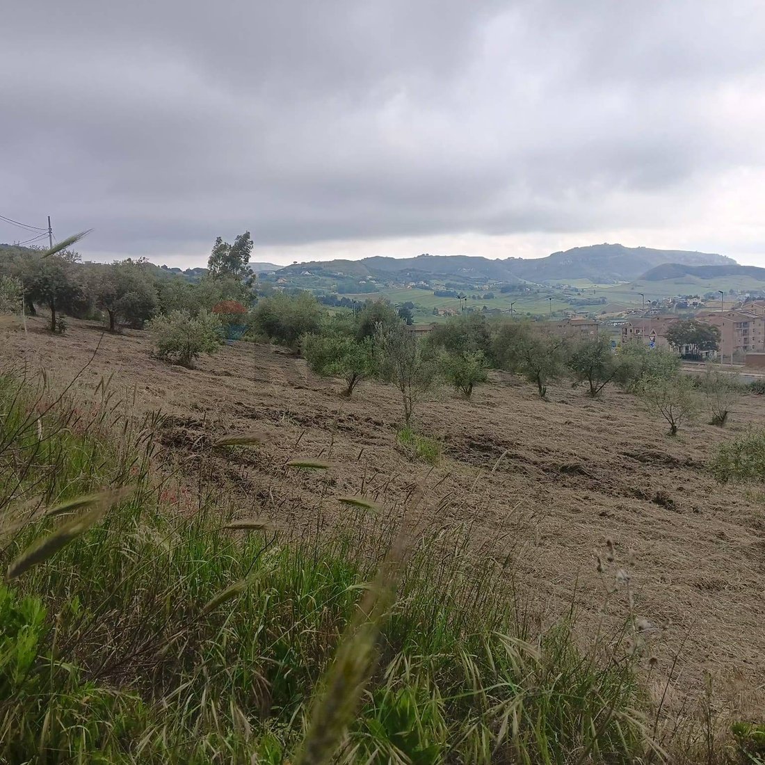 Land in Pergusa, Sizilien, Italien 4 - 17044764