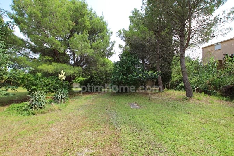 House in Loupian, Occitania, France 5 - 16070432