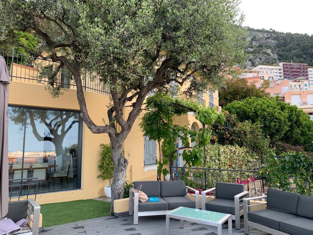 Villa in Cap-d'Ail, Provence-Alpes-Côte d'Azur, France 5 - 16805721