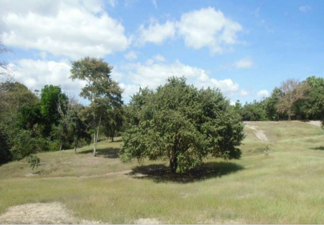 Land in San Carlos District, Panama 4 - 17045731
