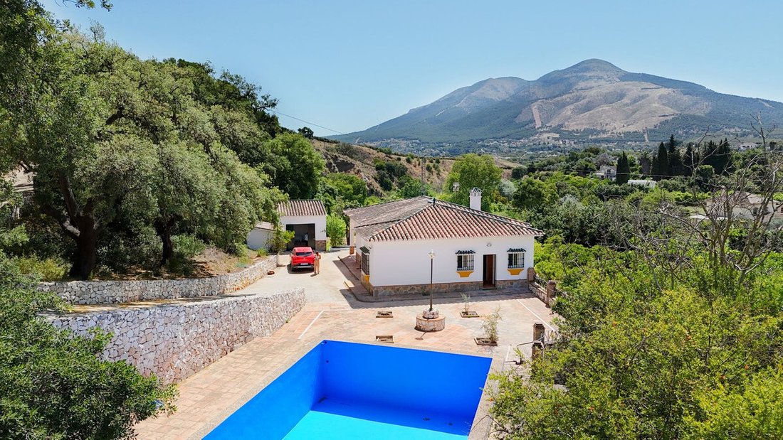 Villa in Alhaurin el Grande, Andalusia, Spain 3 - 17045874