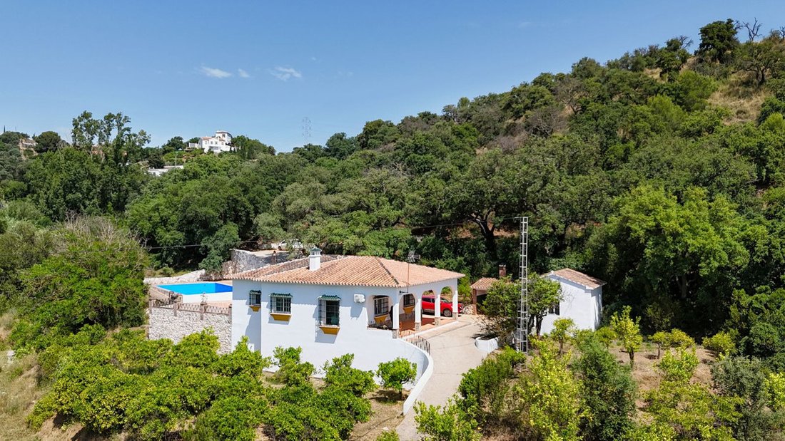 Villa in Alhaurin el Grande, Andalusia, Spain 4 - 17045874