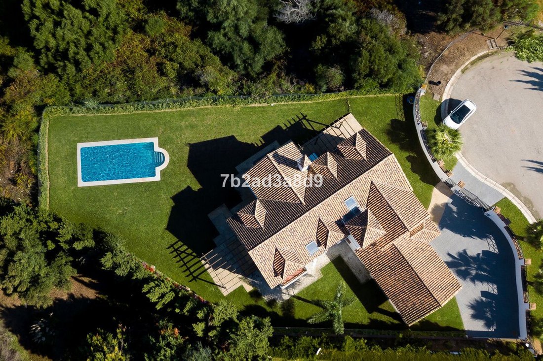 Villa in Sotogrande, San Roque, Andalusia 3 - 17046231