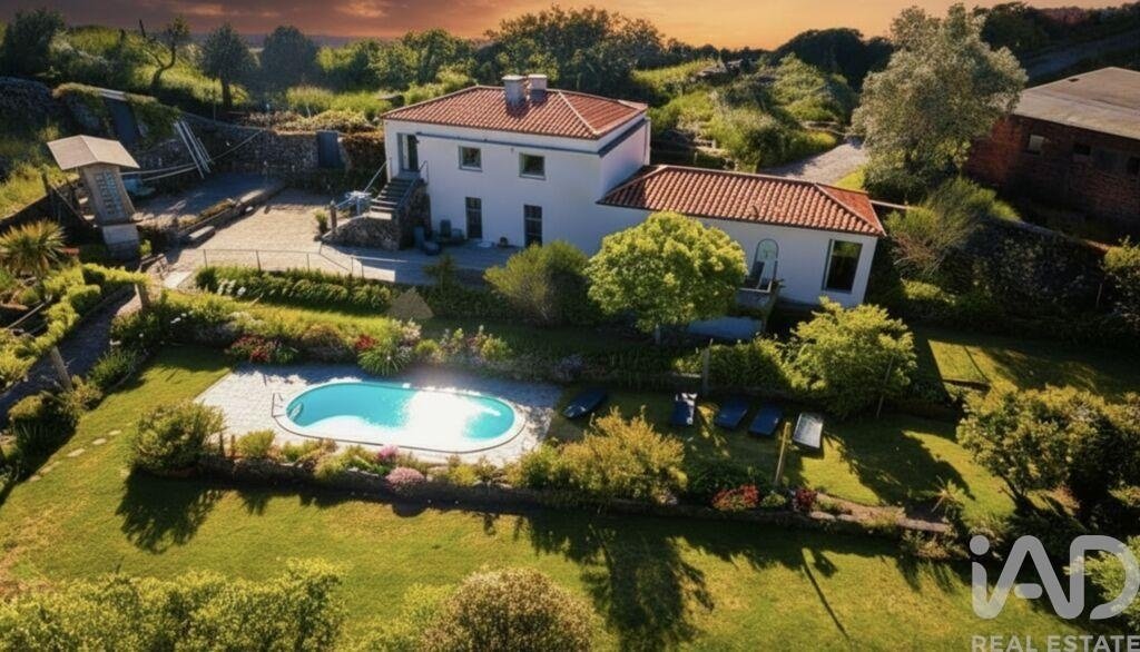 Farm Ranch in Sao Vicente de Lafoes, Viseu District, Portugal 1 - 17047115