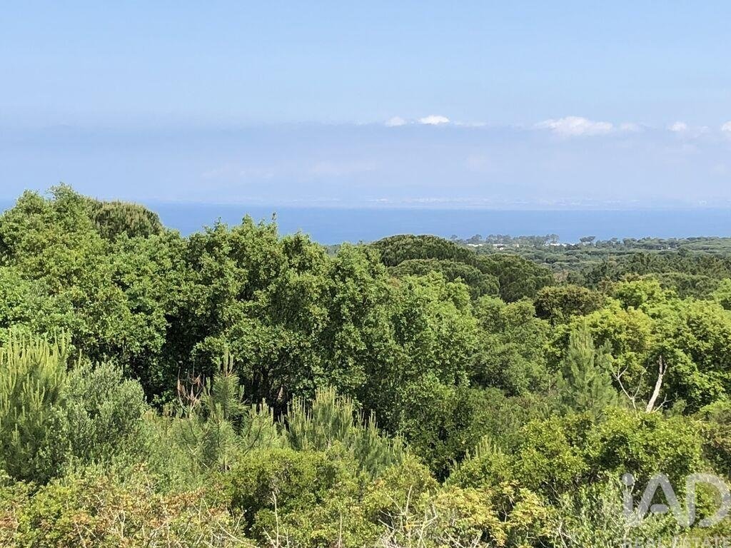 Land in Santiago, Setúbal Municipality, Portugal 1 - 17047114