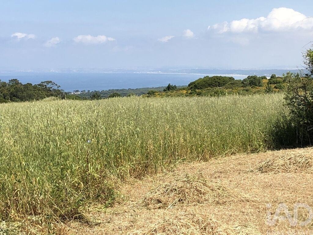 Land in Santiago, Setúbal Municipality, Portugal 2 - 17047114