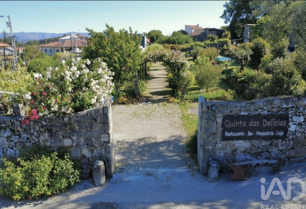 Farm Ranch in Sao Vicente de Lafoes, Viseu District, Portugal 4 - 17047115