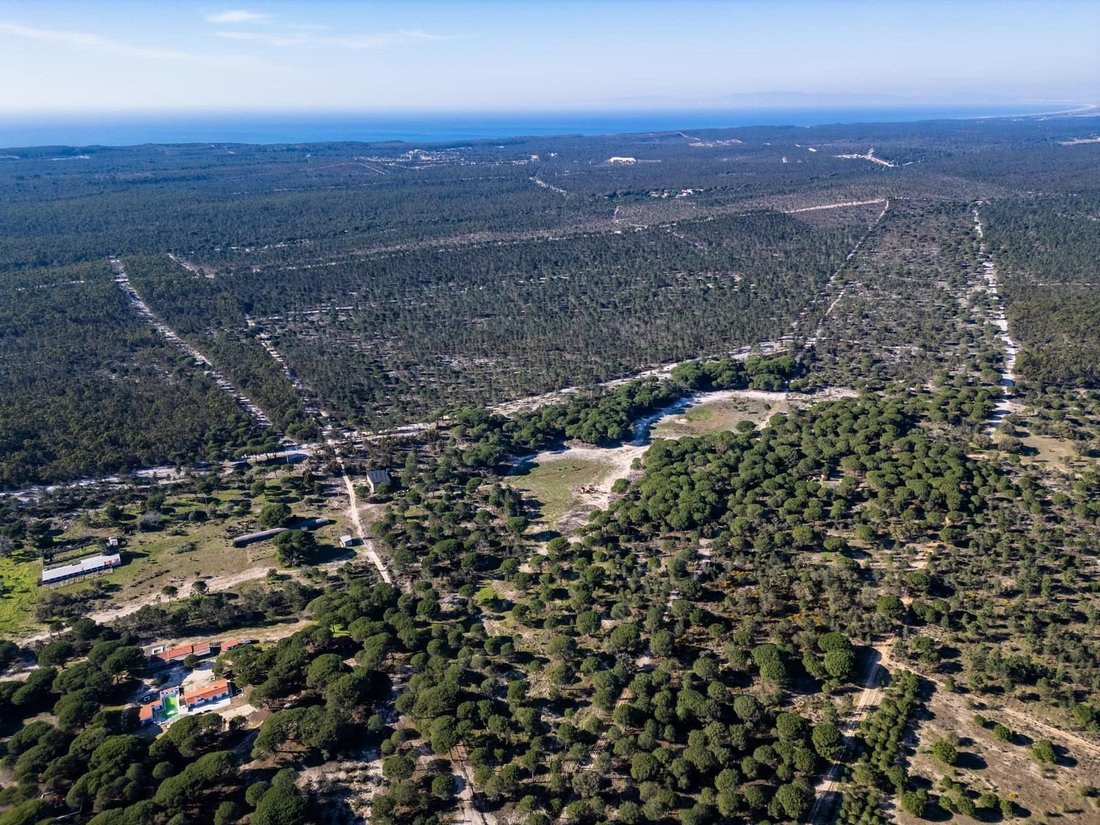 Land in Melides, Setubal, Portugal 4 - 17047130