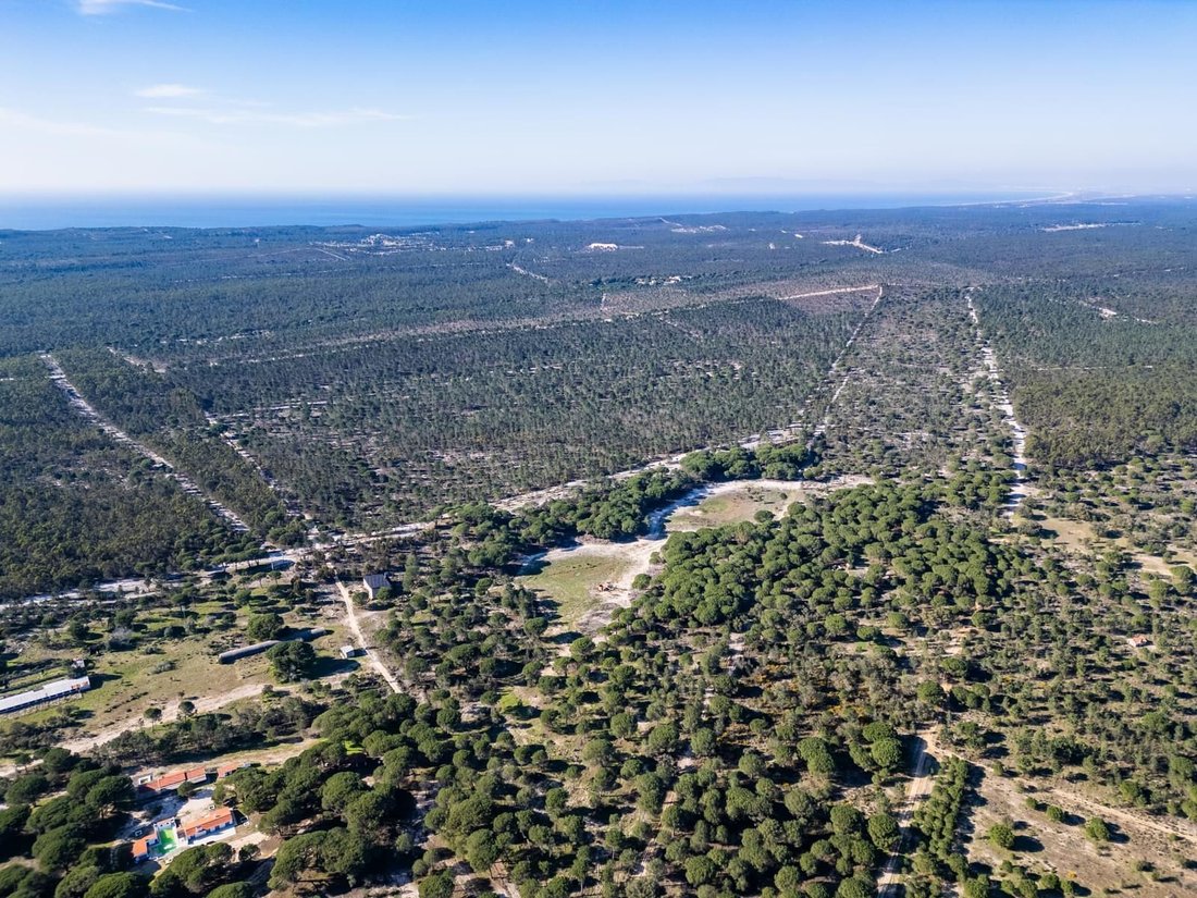 Land in Melides, Setubal, Portugal 3 - 17047130