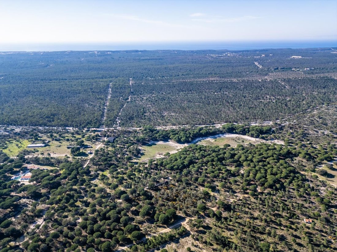 Land in Melides, Setubal, Portugal 5 - 17047130
