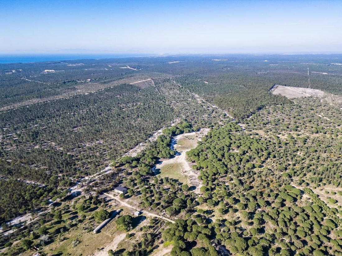 Land in Melides, Setubal, Portugal 2 - 17047130