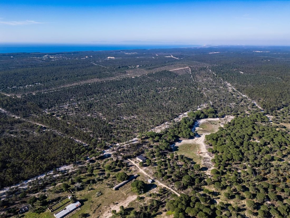 Land in Melides, Setubal, Portugal 1 - 17047130