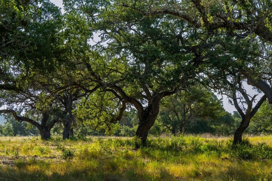 Land in Wimberley, Texas, United States 1 - 17047285