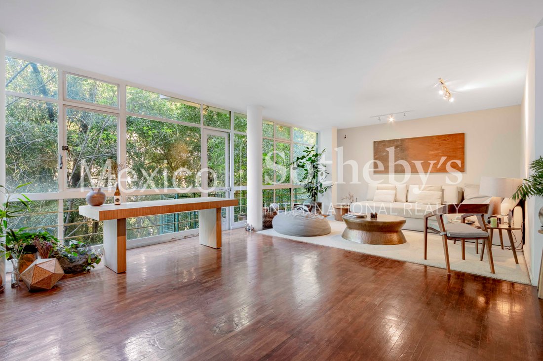 Apartment in Mexico City, Mexico 4 - 17047274