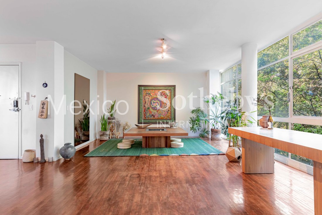 Apartment in Mexico City, Mexico 3 - 17047274