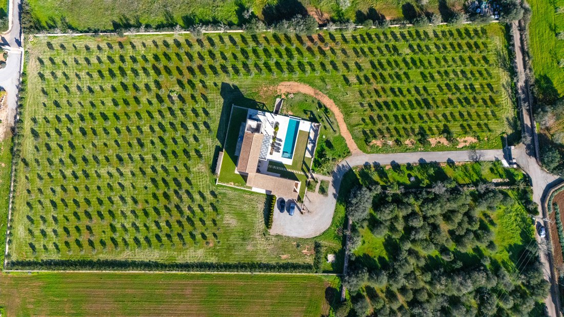 Finca a Ses Salines, Isole Baleari, Spagna 3 - 16976872
