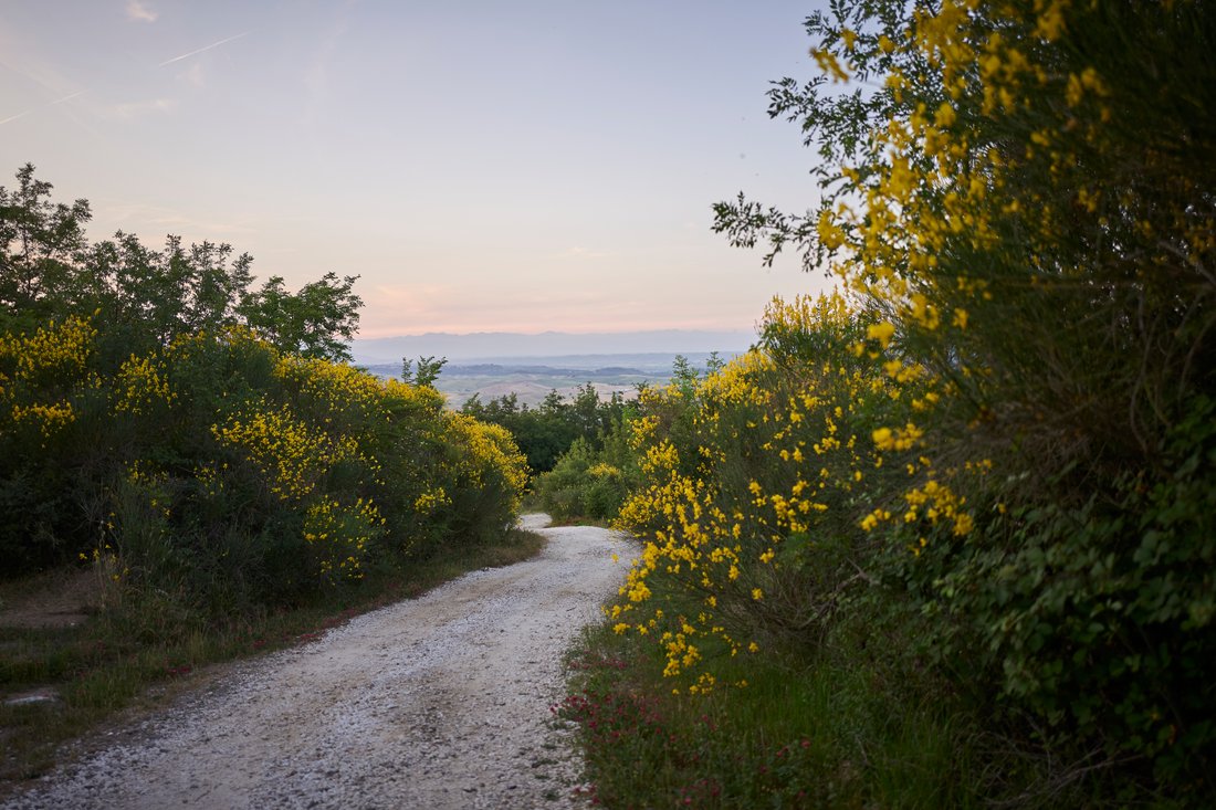 Domaine à Lajatico, Toscane, Italie 4 - 17055643