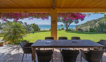 House in Kūaotunu, Waikato, New Zealand 2