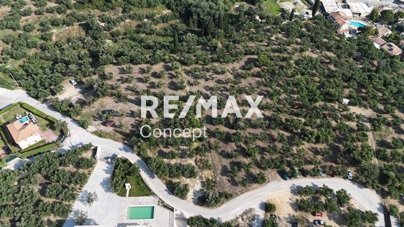 Land in Planou, Arkadii, Greece 4 - 17048715