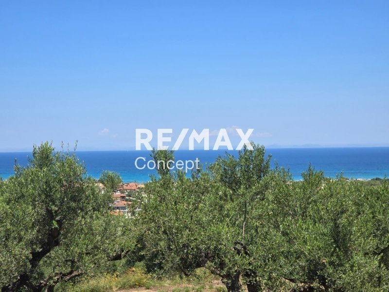 Land in Planou, Arkadii, Greece 2 - 17048715
