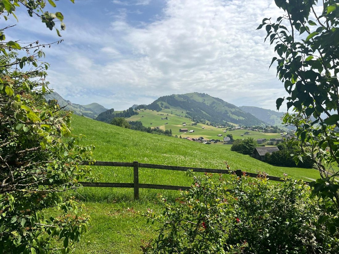 Chalet in Rougemont, Vaud, Switzerland 5 - 17049426