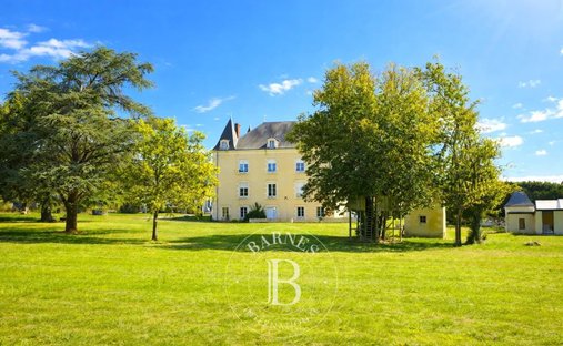 Estate in La Trimouille, Nouvelle-Aquitaine, France 1