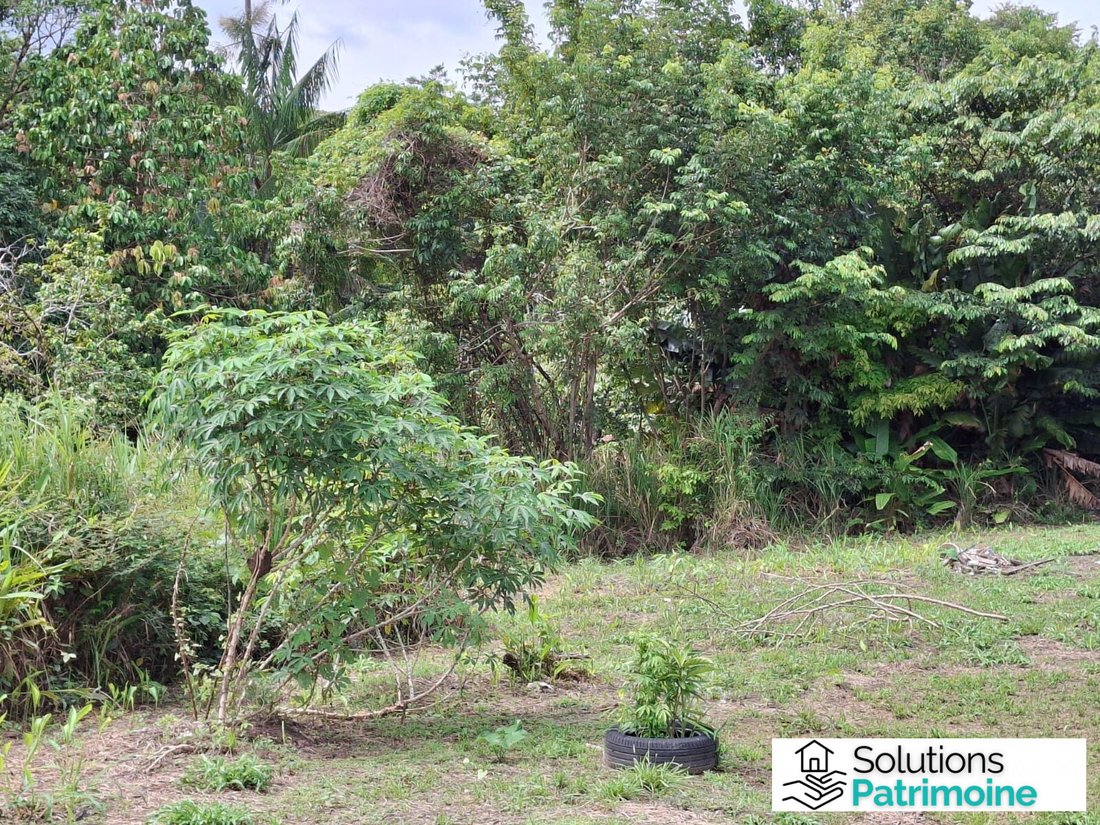 Land in Matoury, Arrondissement of Cayenne, French Guiana 3 - 17057218