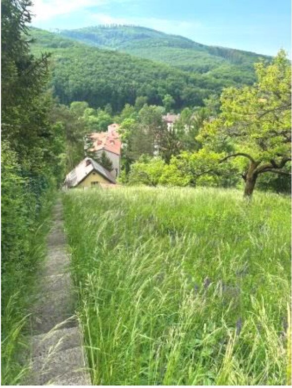 House in Klosterneuburg, Lower Austria, Austria 4 - 17054195