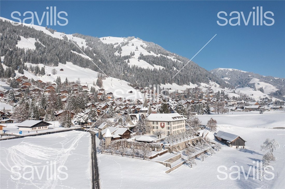 Apartment in Saanen, Canton of Bern, Switzerland 5 - 17049415