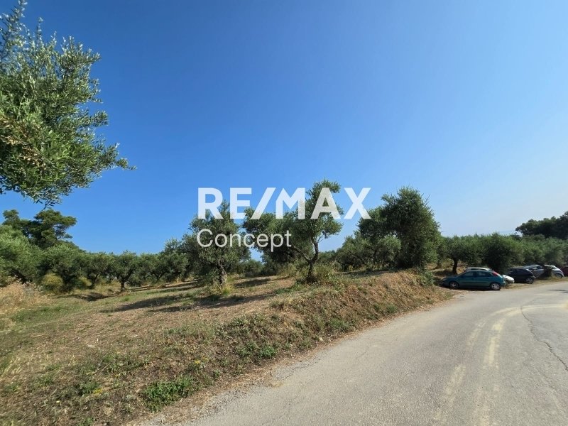 Land in Planou, Arkadii, Greece 5 - 17048715