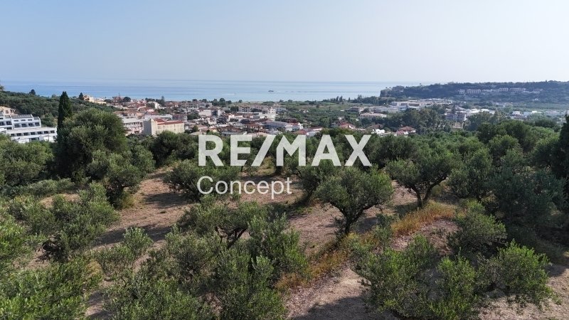 Land in Planou, Arkadii, Greece 3 - 17048715