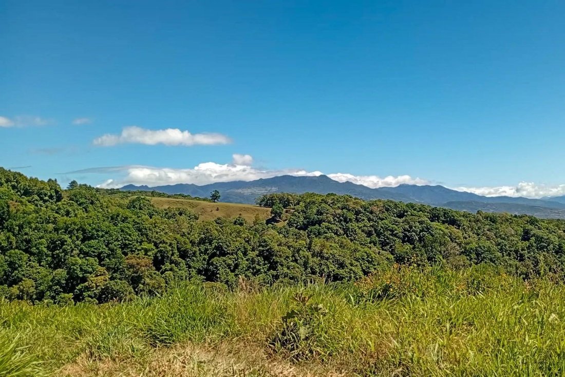 Land in Potrerillos Arriba, Chiriquí Province, Panama 1 - 17053475