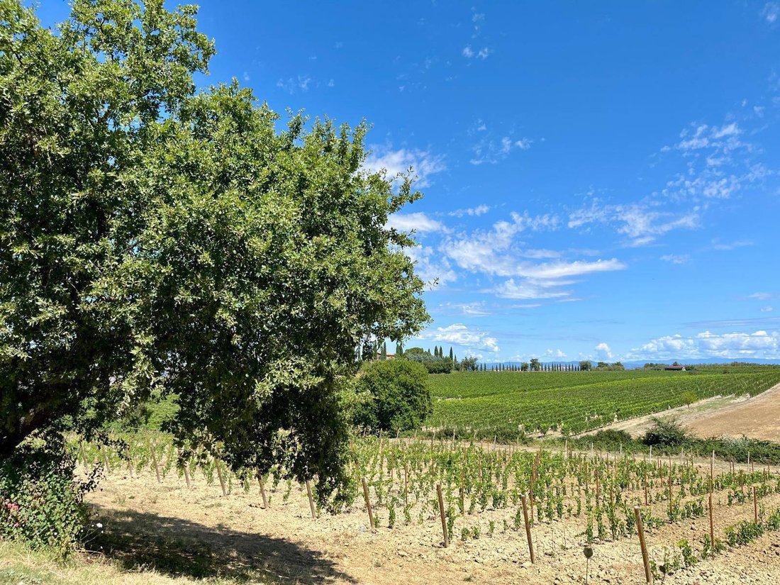 Country House in Montalcino, Tuscany, Italy 2 - 17052455