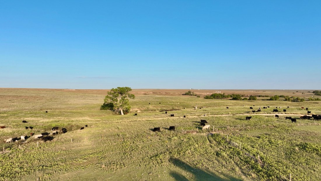 Farm Ranch in Booker, Texas, United States 2 - 17047380