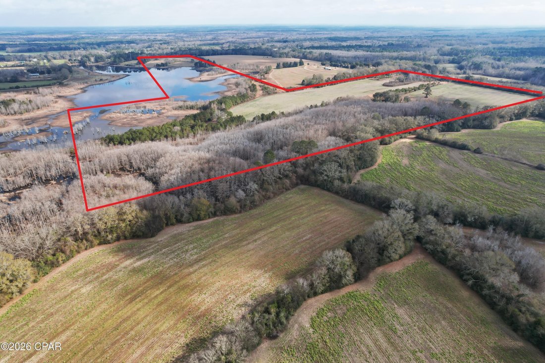 Terrain à Westville, Floride, États-Unis 4 - 17059902