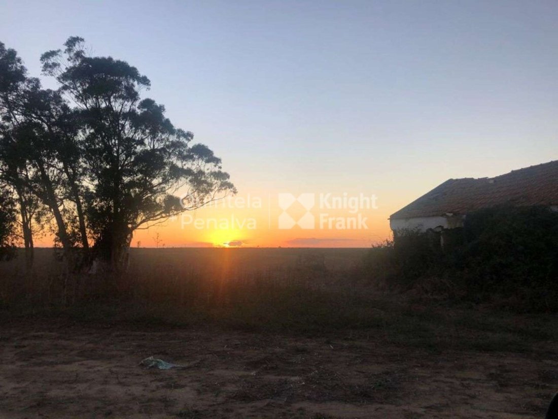 Estate in Longueira/Almograve, Beja District, Portugal 1 - 17054064