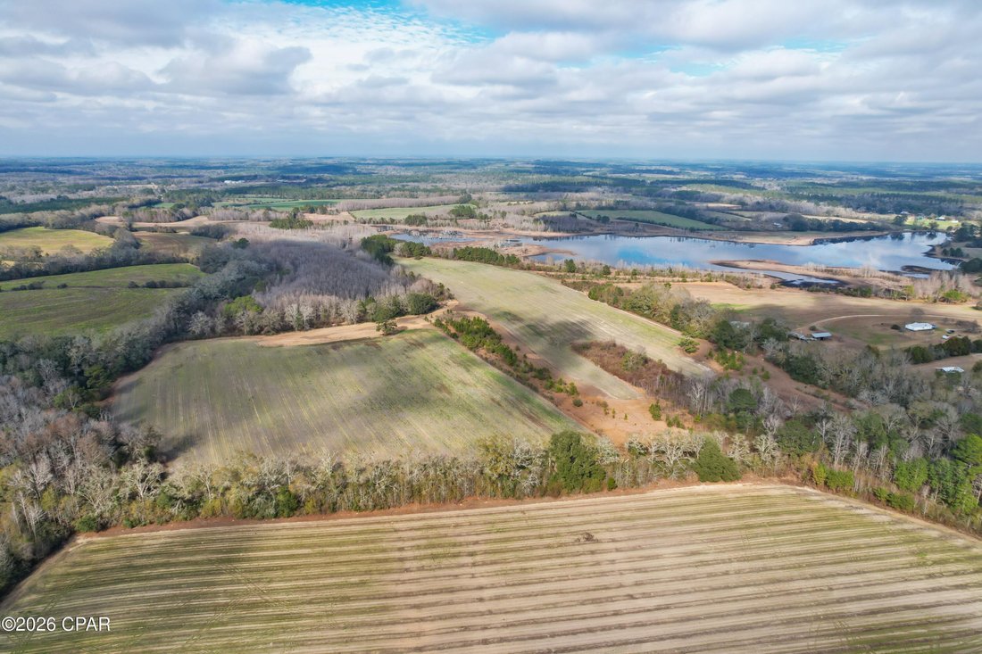 Terrain à Westville, Floride, États-Unis 1 - 17059902