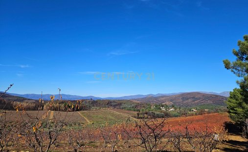 Farm Ranch in Castelejo, Castelo Branco District, Portugal 1