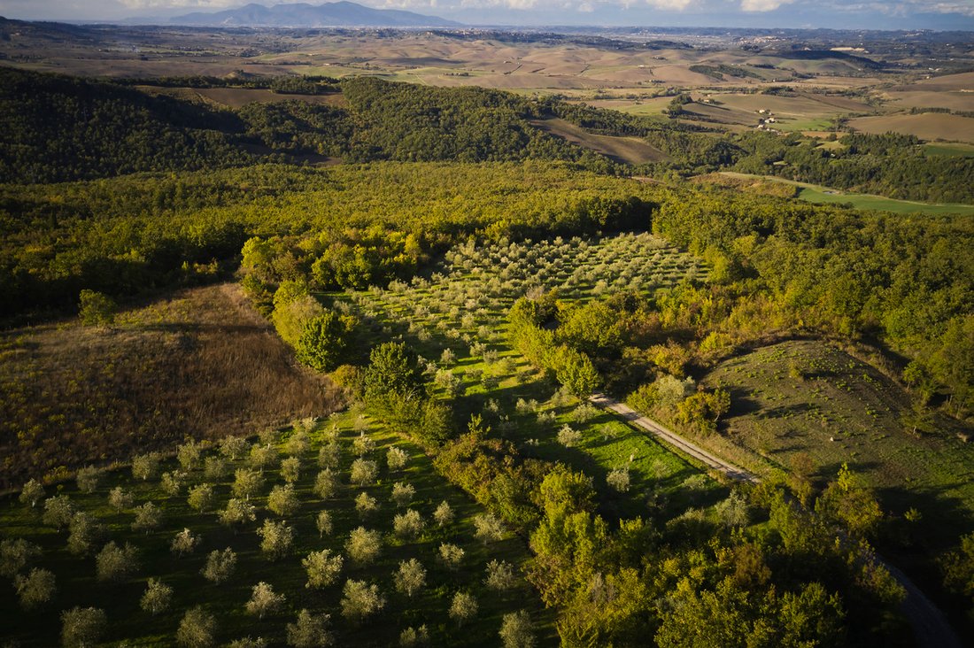 Domaine à Lajatico, Toscane, Italie 3 - 17055643