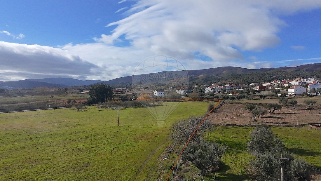 Terreno en Telhado, Distrito de Castelo Branco, Portugal 4 - 17055334