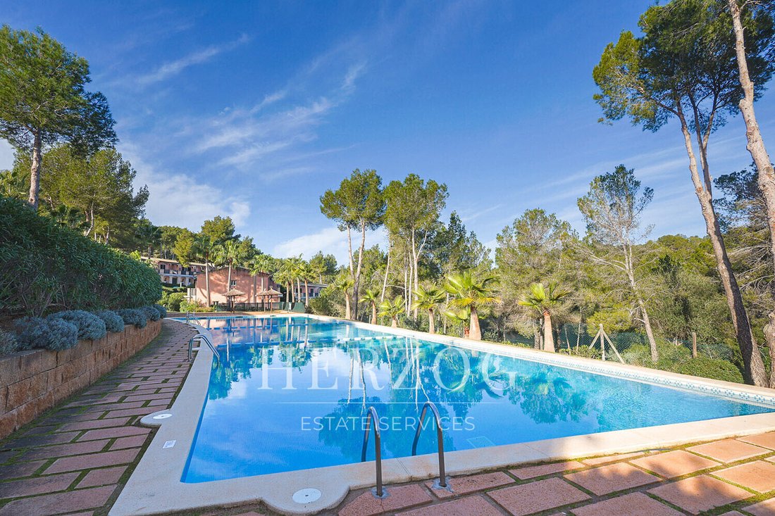 House in Calvia, Balearic Islands, Spain 2 - 16916108