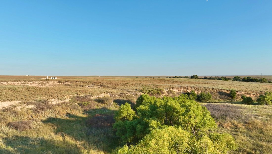 Farm Ranch in Booker, Texas, United States 5 - 17047380