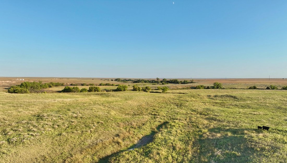 Farm Ranch in Booker, Texas, United States 3 - 17047380