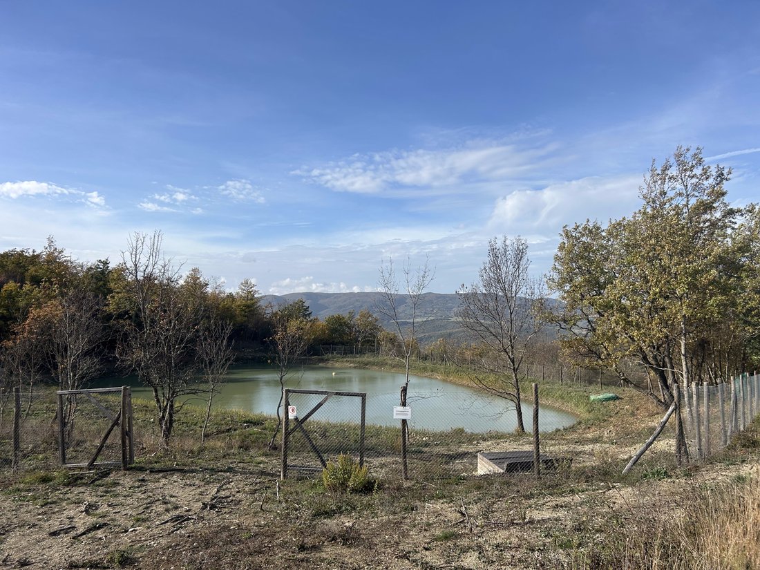 Domaine à Lajatico, Toscane, Italie 5 - 17055643